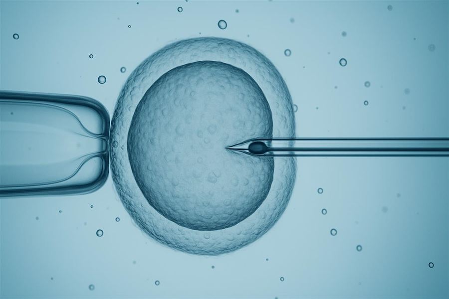 Alt hvad du behøver at vide om kunstig befrugtning
